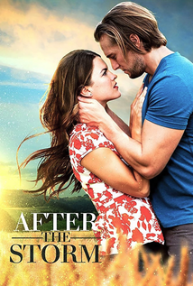 After the Storm (2019)