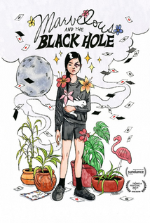 Marvelous and the Black Hole (2022)